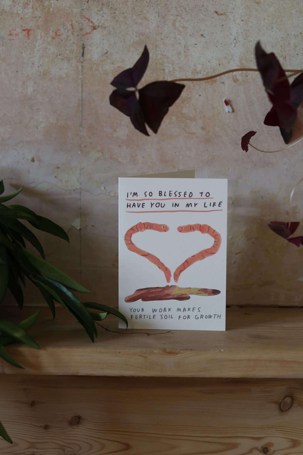 Rosalie Schweiker Collaboration