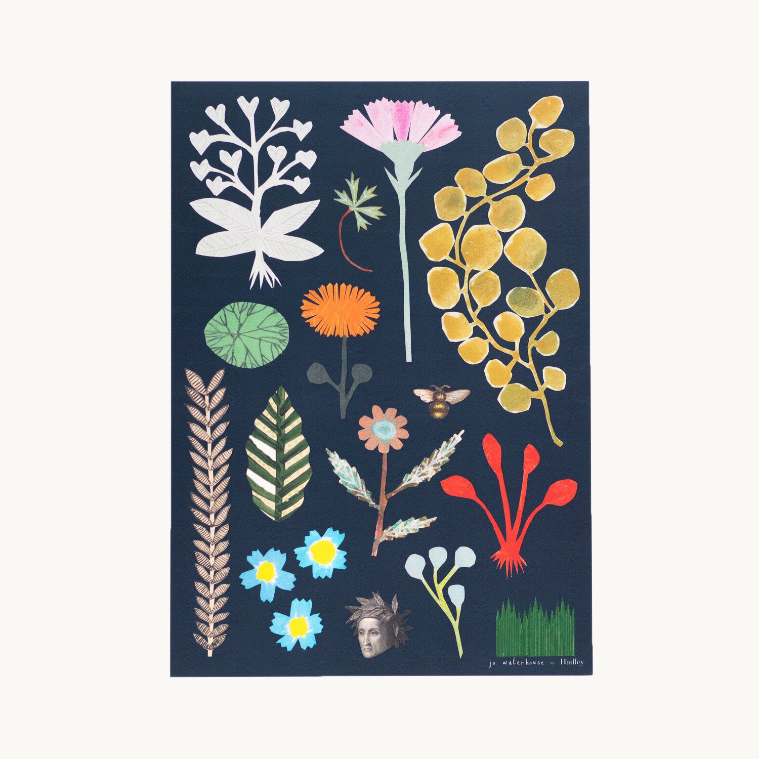 Botanical Print (A3)