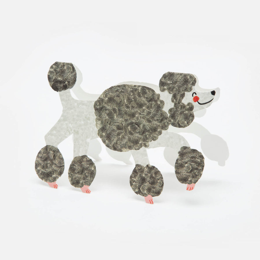 The Poodle