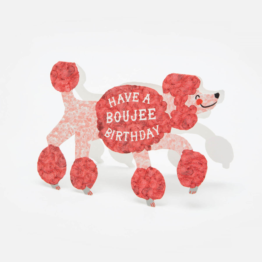 Boujee Birthday Poodle
