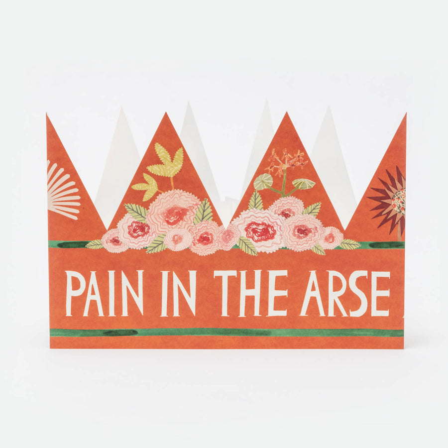 Pain In The Arse Party Hat