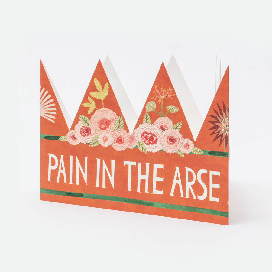 Pain In The Arse Party Hat