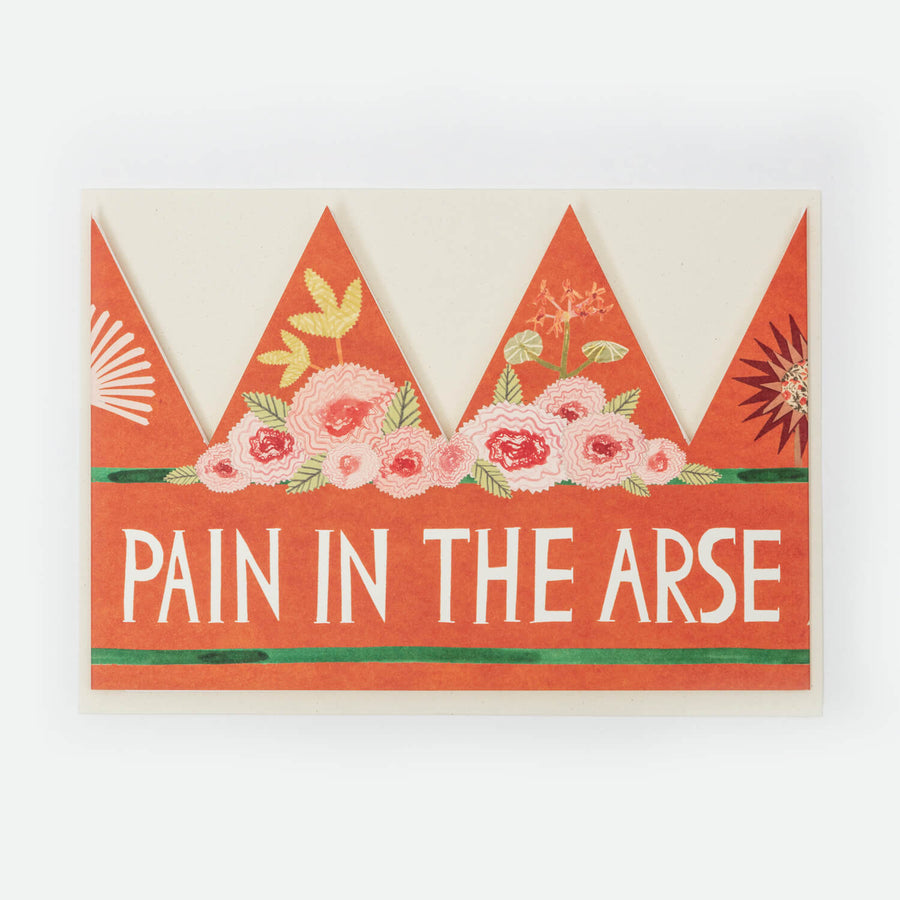 Pain In The Arse Party Hat