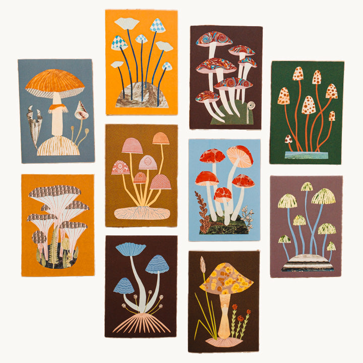 Mushroom Notecards Set (Box of 10 Cards)