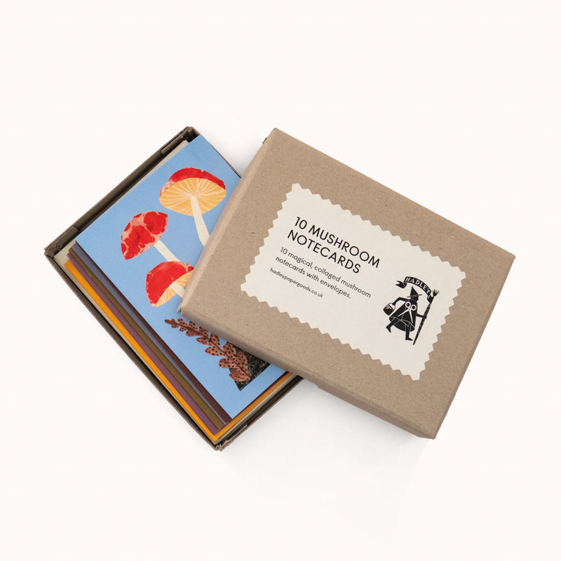 Mushroom Notecards Set (Box of 10 Cards)
