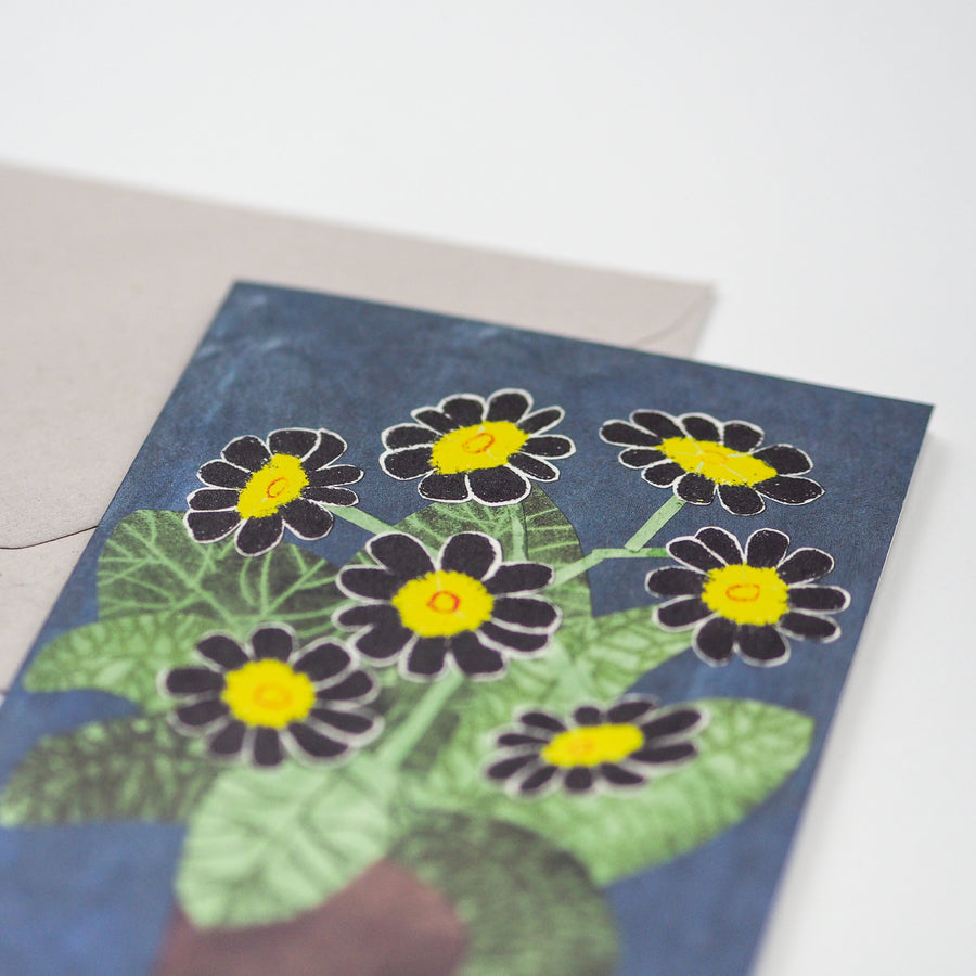 Black Auricula Flowers Card