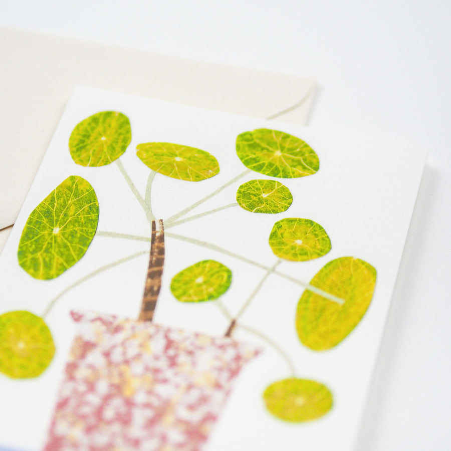 Pilea Pepermioides - Bobble Plant Card