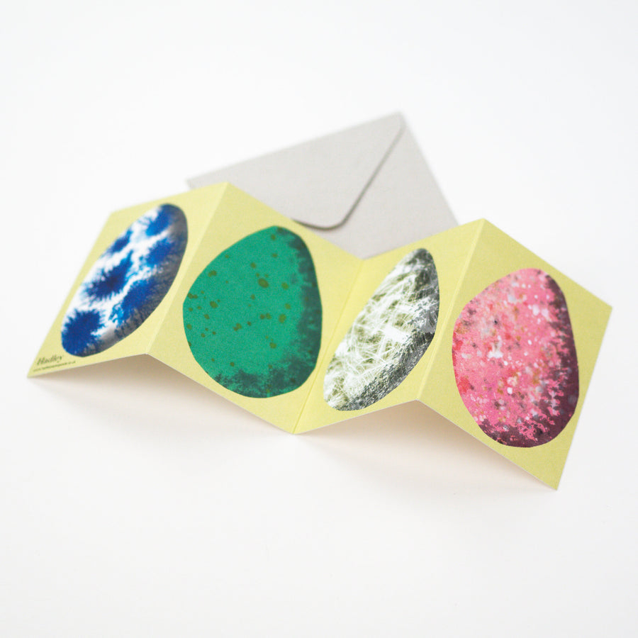 Egg Concertina Card