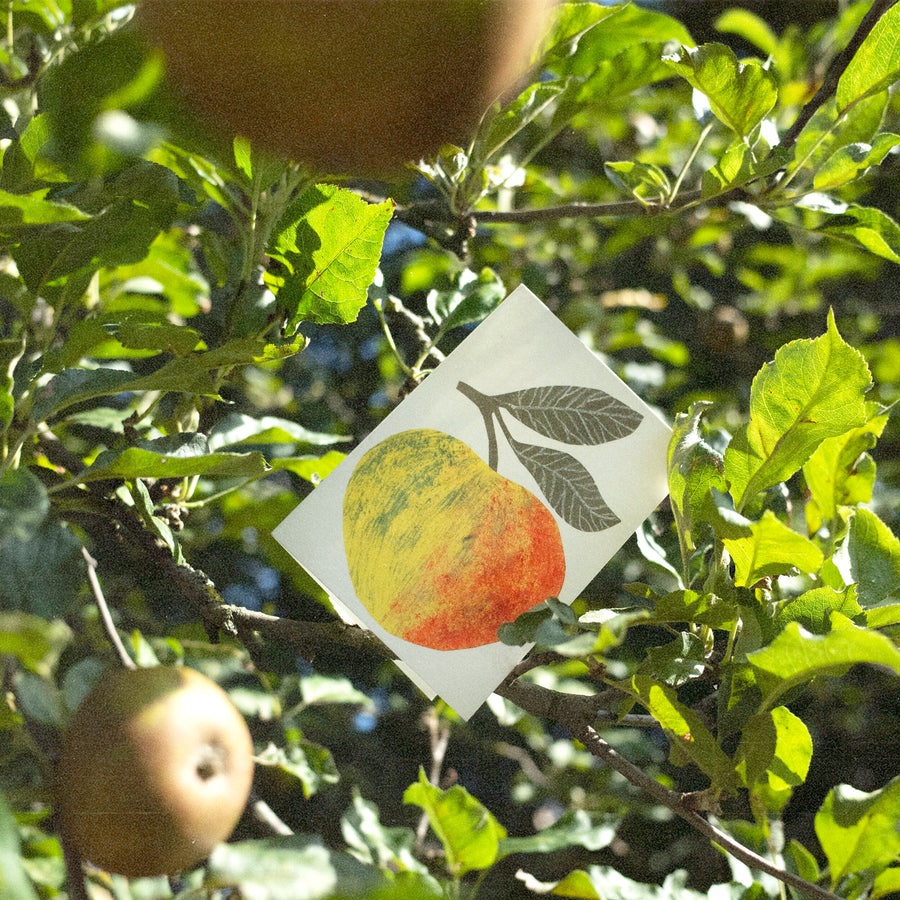 Little Apple Card