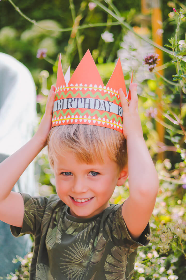 Birthday King Party Hat